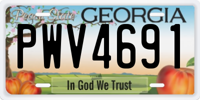 GA license plate PWV4691