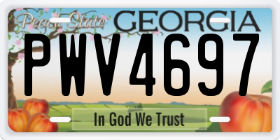 GA license plate PWV4697
