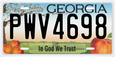 GA license plate PWV4698