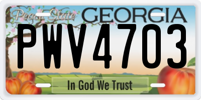 GA license plate PWV4703