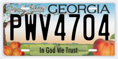 GA license plate PWV4704
