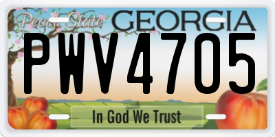 GA license plate PWV4705