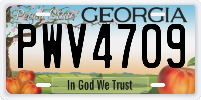 GA license plate PWV4709