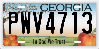 GA license plate PWV4713