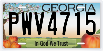 GA license plate PWV4715