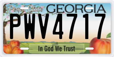 GA license plate PWV4717