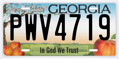 GA license plate PWV4719