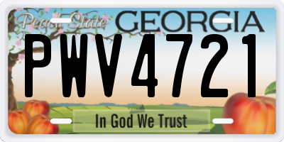 GA license plate PWV4721