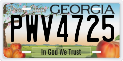 GA license plate PWV4725