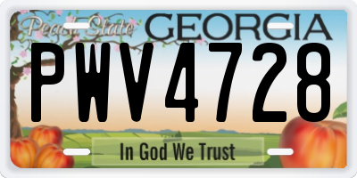 GA license plate PWV4728