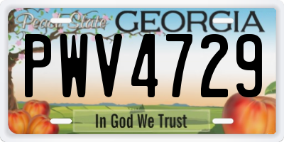 GA license plate PWV4729