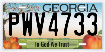GA license plate PWV4733