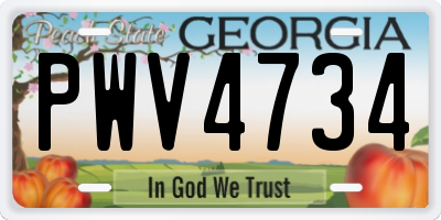 GA license plate PWV4734