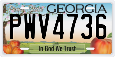 GA license plate PWV4736