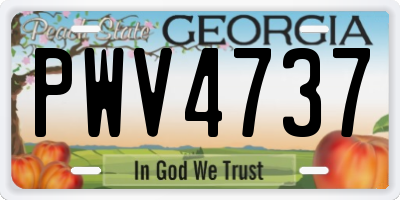 GA license plate PWV4737