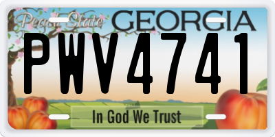 GA license plate PWV4741