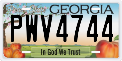 GA license plate PWV4744