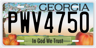 GA license plate PWV4750