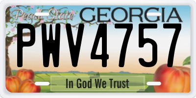 GA license plate PWV4757