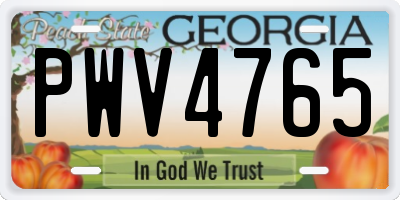 GA license plate PWV4765