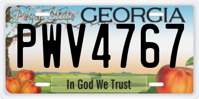 GA license plate PWV4767