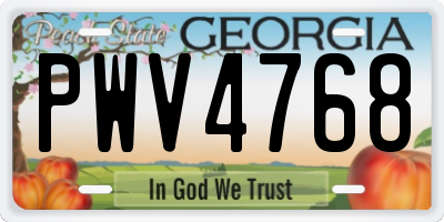 GA license plate PWV4768
