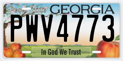 GA license plate PWV4773