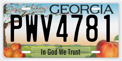 GA license plate PWV4781