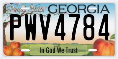 GA license plate PWV4784