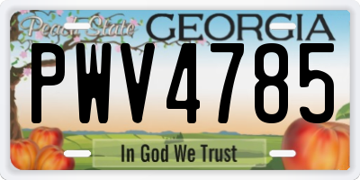 GA license plate PWV4785