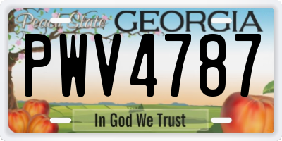 GA license plate PWV4787