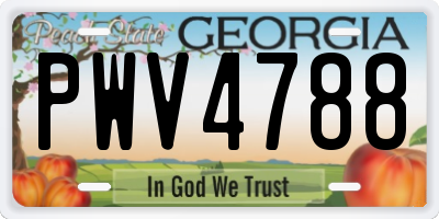 GA license plate PWV4788