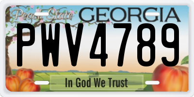 GA license plate PWV4789
