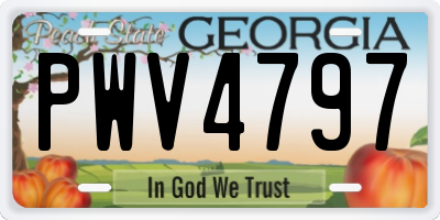 GA license plate PWV4797