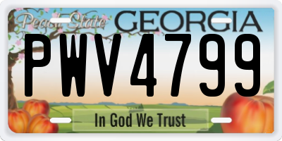 GA license plate PWV4799