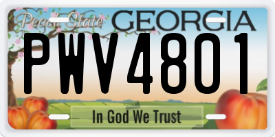 GA license plate PWV4801
