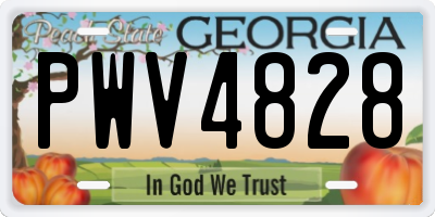 GA license plate PWV4828