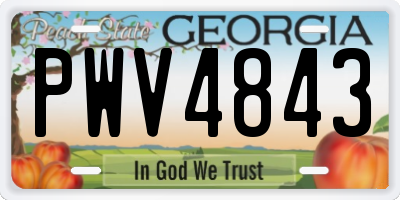 GA license plate PWV4843