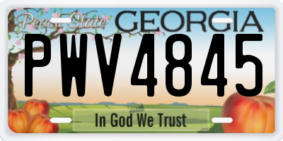 GA license plate PWV4845