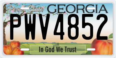 GA license plate PWV4852