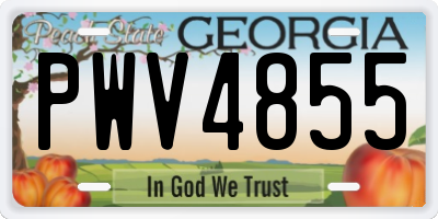 GA license plate PWV4855