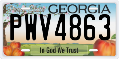 GA license plate PWV4863