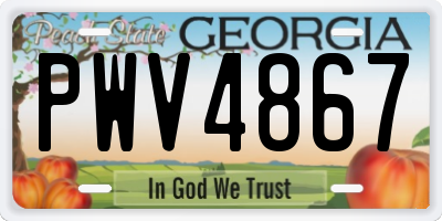 GA license plate PWV4867