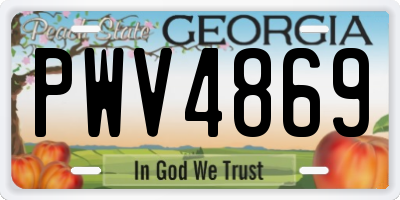 GA license plate PWV4869