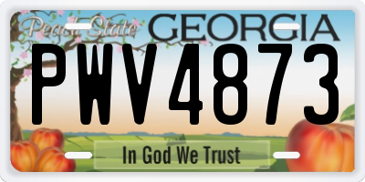 GA license plate PWV4873