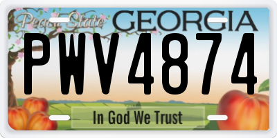 GA license plate PWV4874
