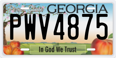 GA license plate PWV4875