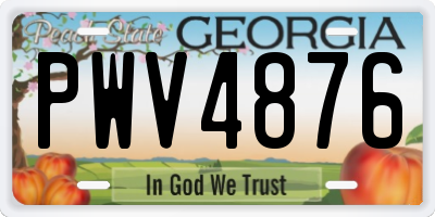 GA license plate PWV4876
