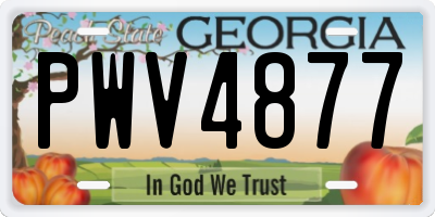 GA license plate PWV4877