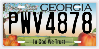 GA license plate PWV4878